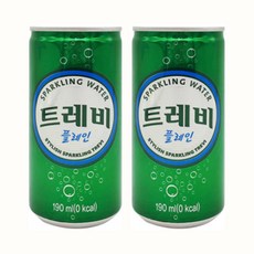 트레비 플레인 190mlx30캔+30캔(60캔) 안전박스포장 190ml 상품 이미지