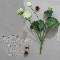 6afe32a7e3c6ae8428b9a66f803772e19a6b5e3574e5e498ec7435f10a4e.jpg