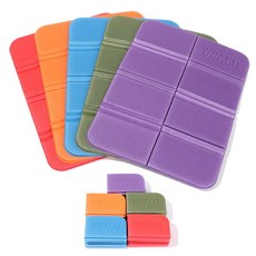 파크론피크닉시트