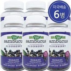Natures Way 네이쳐스 웨이 얼더베리 삼부커스 60구미 6병, 60정