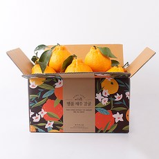 제주 한라봉 벌크, 1box, 4.5kg 25-35과 중소과