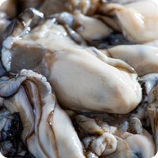 통영바다굴 탱글탱글한 생굴 1kg 프리미엄, 1개