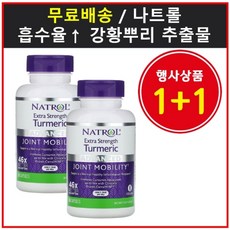 nhv터메릭
