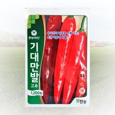 농사친구 2022 불칼라 1200립 + 뉴그린씨 500ml 세트 씨 종자 탄저 칼라 병 불칼라 티탄 ATR, 불칼라 1200립 + 뉴 그린씨 500ml