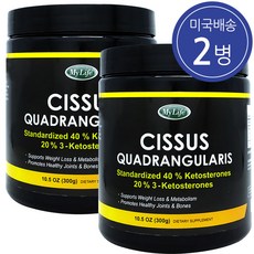 마이라이프 시서스 분말 케토스테론 40% 300g 2병
