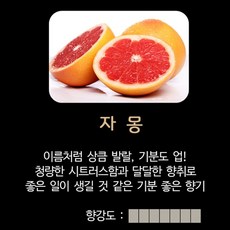 하만카돈사이테이션1100