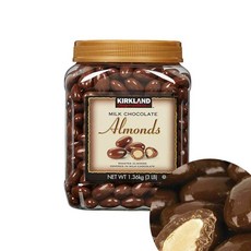 코스트코다리미