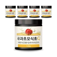 초담식품 사과초모식초 Q 애플사이다비니거 분말 가루 파우더 효능 120g 5통, 1개, 필수선택