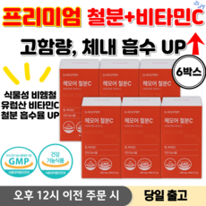 철분제 비타민C 여성빈혈철분제 여성 철분제 임산부 철분제 철분영양제 철분 프리미엄 임산부영양제, 6박스, 90정