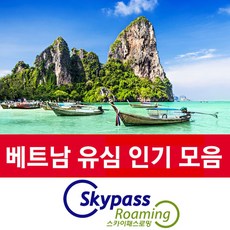 스카이패스로밍 베트남 유심 무제한 칩 4g 30일 60일 90일 심카드 비나폰 비엣텔, 1매, 2개월사용 총20GB