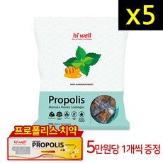 지하이웰