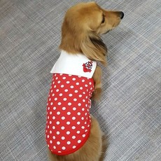 l뚠뚠마켓로지스샵l애견의류 design sano 도트마린티_물류창고 직송슝~!!, 이미지를 확인하세요*블루M