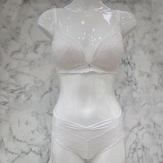 비비안소노르골지