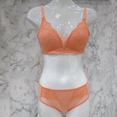 비비안소노르골지