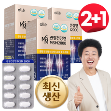 MSM 관절 식이 유황 영양제 엠에스엠 2000, 3개, 30회분 - msm320-r