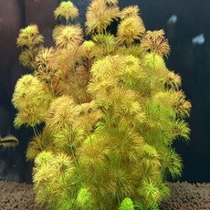 6c1698cfefe92d9b1270edb01a29c9963bef71210aa9cf6f0d3dbd1c2da7.jpg