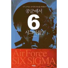 6시그마