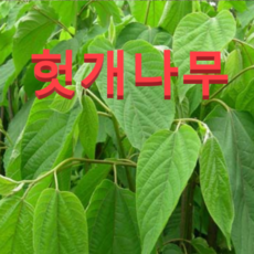 9c18d4b4a36646571e5bd4f9771a9fea7d59ae0de9f446cb700b07e31a05.png