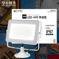 장수램프 LED 투광등 투광기 100W 흰색 주광색 하얀빛 천장등(방수등급 IP67), 주광색(하얀빛),