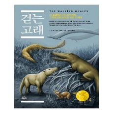 걷는고래