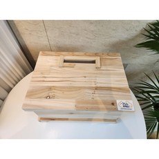 헬로무럭이 지렁이 나무 사육상자 키우기, 1개