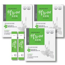 웰화이버 포르테 차전자피 식이섬유 편안한 쾌변 혈중 콜레스테롤감소 (6g ), 3개, 60포