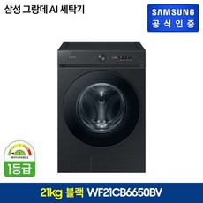 삼성 비스포크 그랑데 세탁기 WF21CB6650BV
