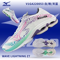 v1ga220053 TOP01