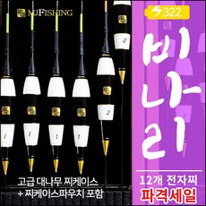  엠제이피싱/비나리전자찌세트/양어장찌/나노전자찌, 찌 6개 구성 (소／중／대 각2개씩＋케이스) 