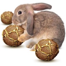 SunGrow Guinea Pig Coconut Fiber Balls Improves Oral Wellness Environment Friendly Stress Relieve, 3개