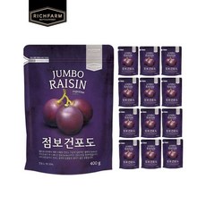 건포도400g 13팩, 13개