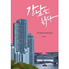 강남을 읽다:강남 형성과강남 현상을 찾아서