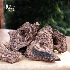 먹버섯