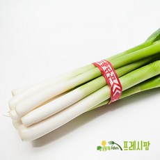 [프레시팜] 싱싱한 면역채소 깐 대파 1단 1kg내외