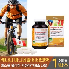 캐나다 직구 마그넴슘 마그네숨 영양제 흡수율 용이한 산화마그네슘 비타민B6 비타민비6 여성 남성 청소년 수험생 직장인 주부 노인 온가족, 1개, 90캡슐