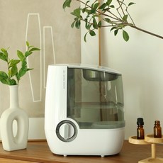 zch-ca610d