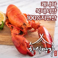 한식명가 캐나다 100% 자연산 반자숙 랍스터 550g 1마리 2마리 6마리, 자숙 랍스터 6마리