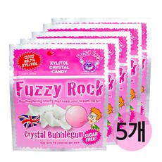 [Fuzzy Rock] 퍼지락 리얼 자일리톨 캔디 라인업, 40g, 버블껌 5SET