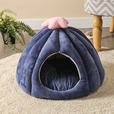 고양이식용식물