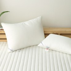 아토앤알로경추배게