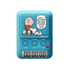 드레텍스터디타이머