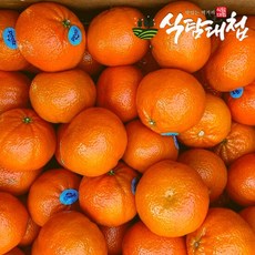 식탐대첩 미국 만다린 감귤 오렌지 5kg, 1개