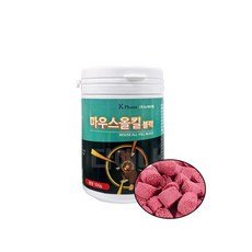 마우스올킬 블럭 100g 1개 쥐약 쥐먹이 쥐잡는법