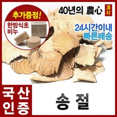 송절1200g 소나무껍질 동송근 국내산(경북영천), 단품