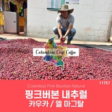[콜롬비아]핑크버본 내추럴 / 카우카 - 엘 마그달 직수입 생두 1kg 세웅지씨 . [콜롬비안 크래프트]-11757, 1개
