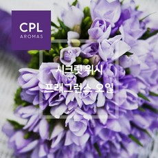 프래그런스오일시크릿위시