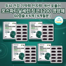 인지기능향상