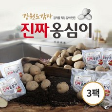 eTV 강원도 감자 진짜 옹심이 3팩, 1