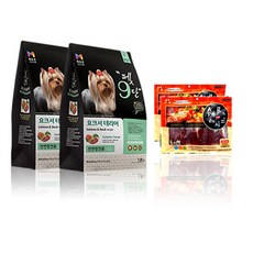 요크셔테리어피지동전