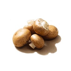 [eo2113:k]W62CBAF보령 브라운 양송이 버섯 진상품 1kg (u2107a;h), 1개